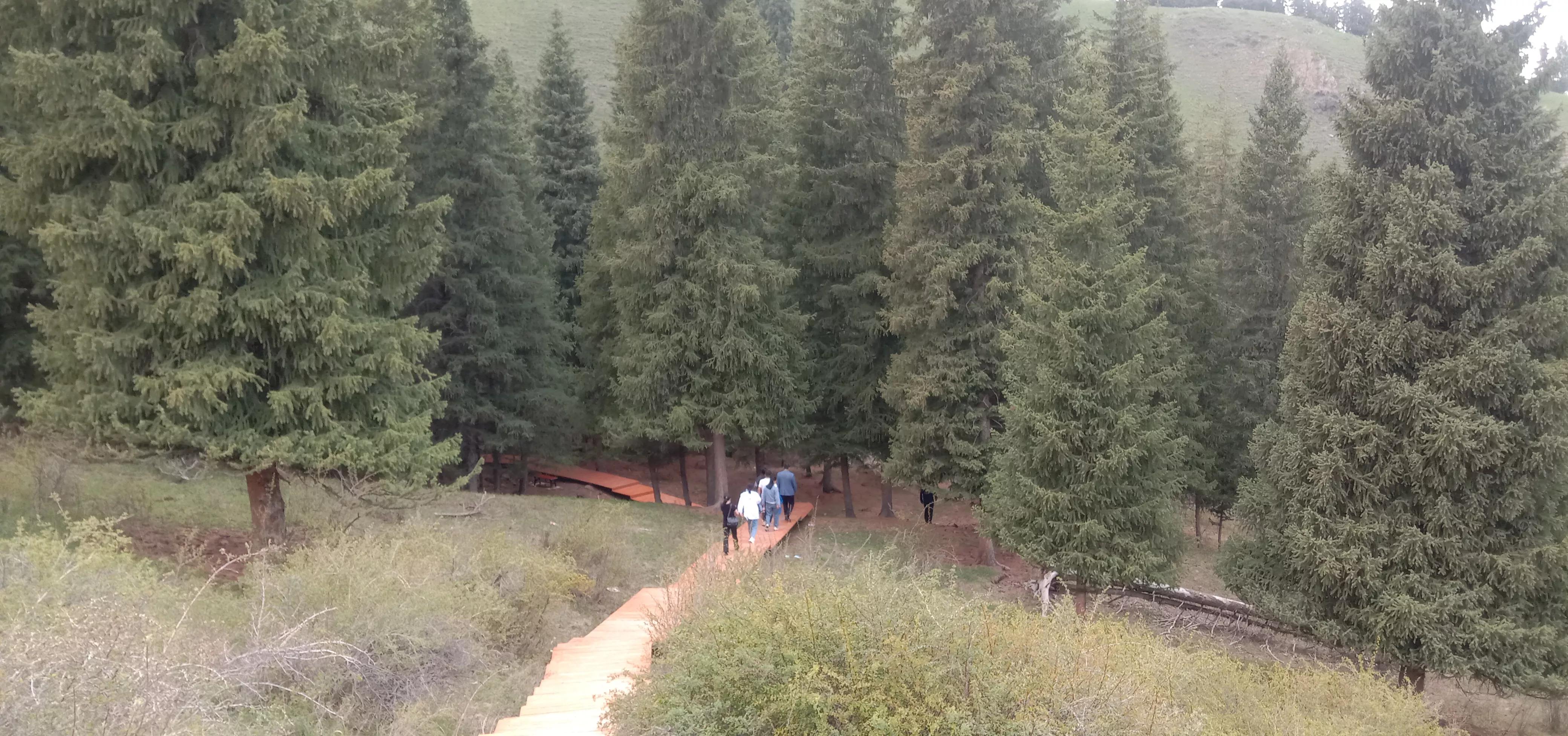 天山森林公园门票,天山森林公园风景