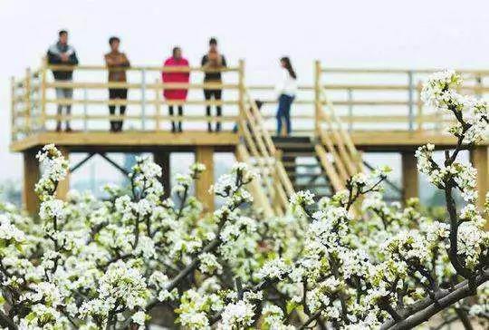 成都周边田园旅游攻略,成都冬季最理想的旅游线路