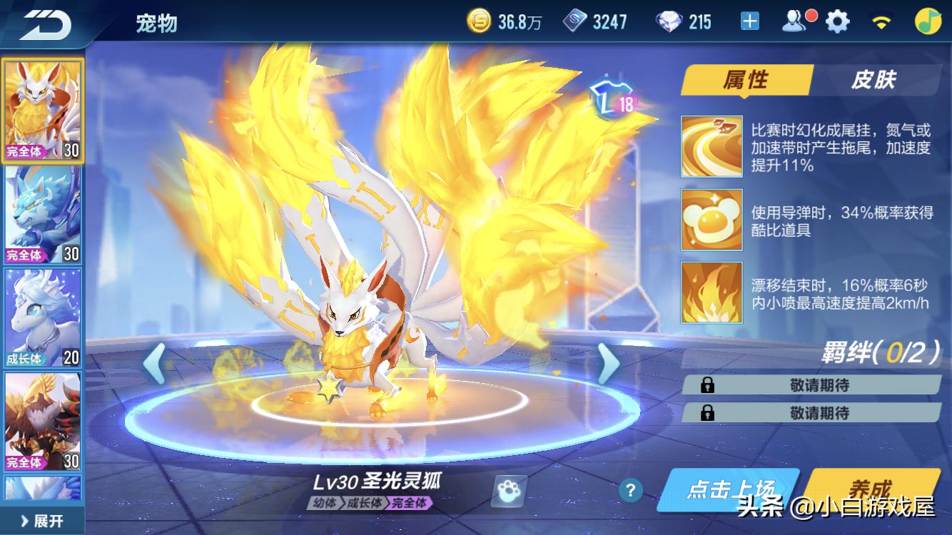 QQ飞车手游：道具宠物排名，秘境宠占据大半江山，别再说傻宠了