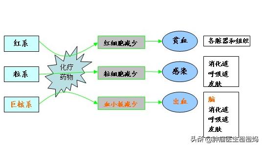 椎间盘突出腰痛了大半年怎么办,盘源性腰痛和椎间盘突出哪个严重