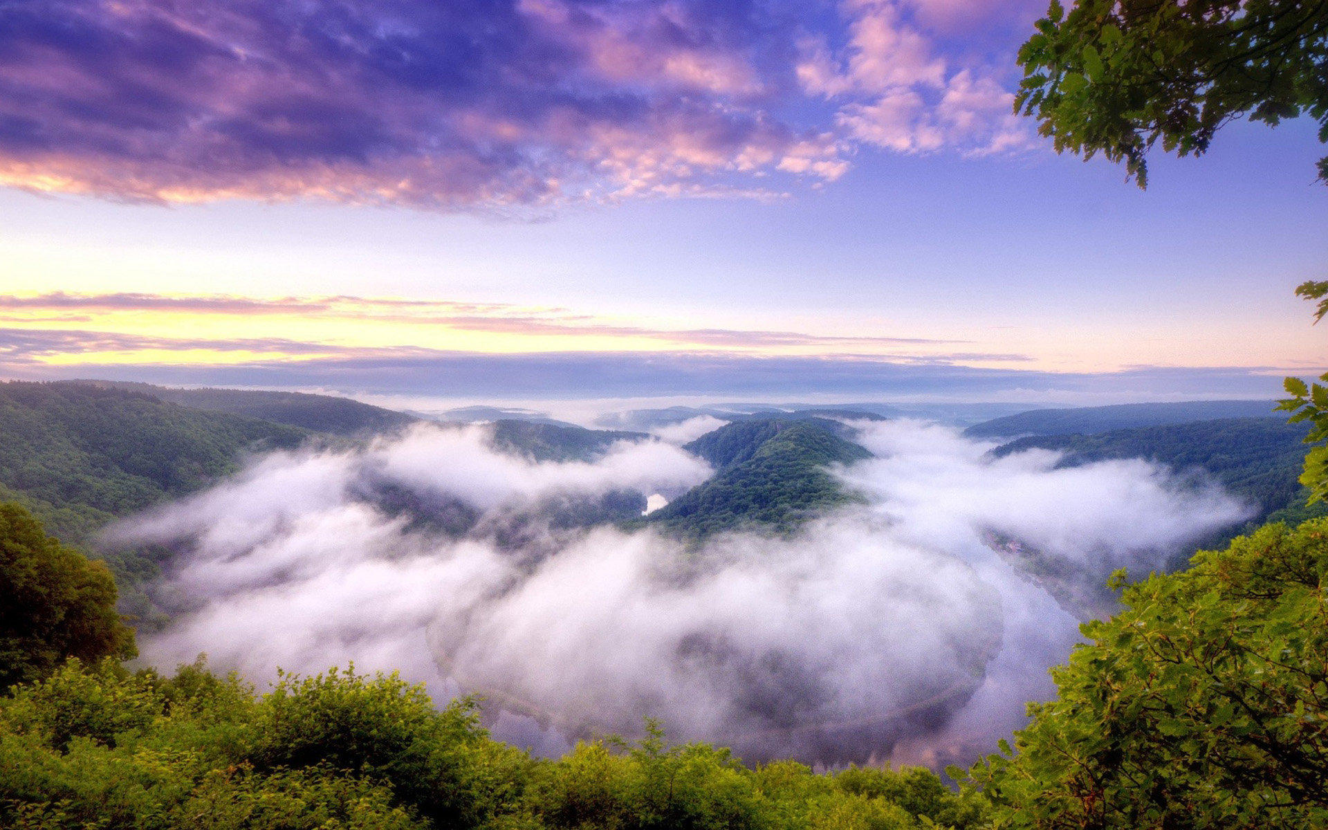 色料翡翠好吗,翡翠行业必须知道的几个行话