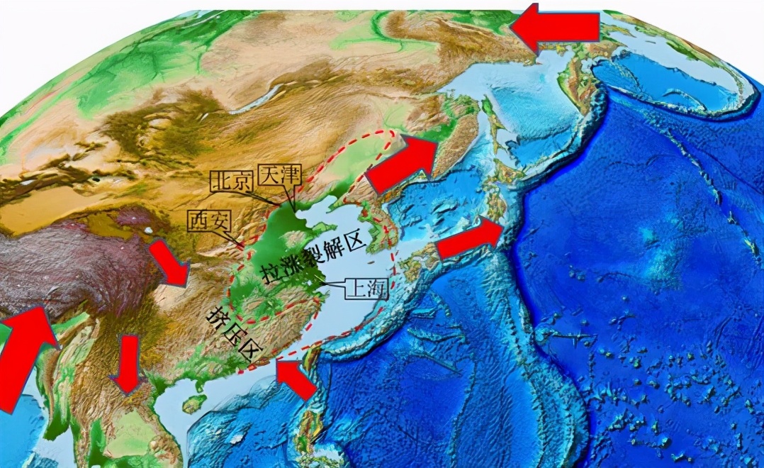 蛇岛为什么有千万条蛇,为什么蛇岛有这么多蛇其他岛没有