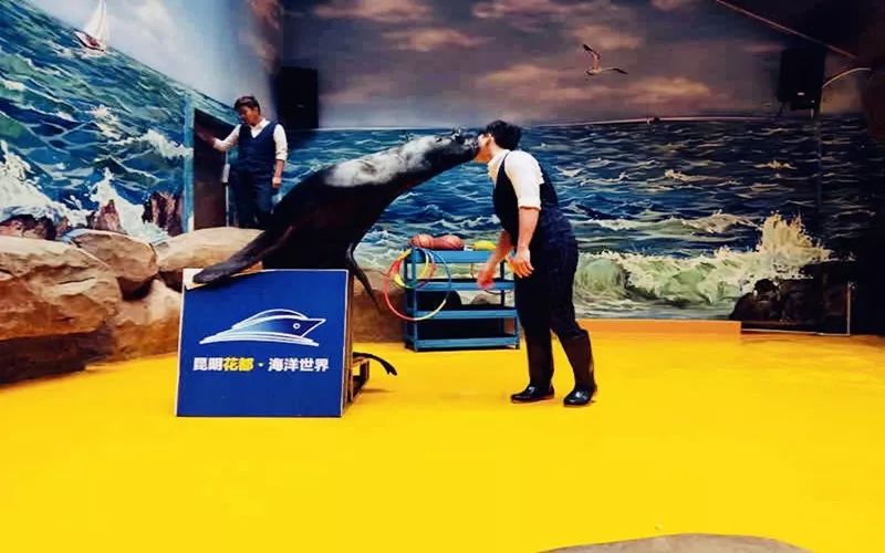 海花岛海洋乐园萌宠表演场,海花岛海洋乐园萌宠剧场