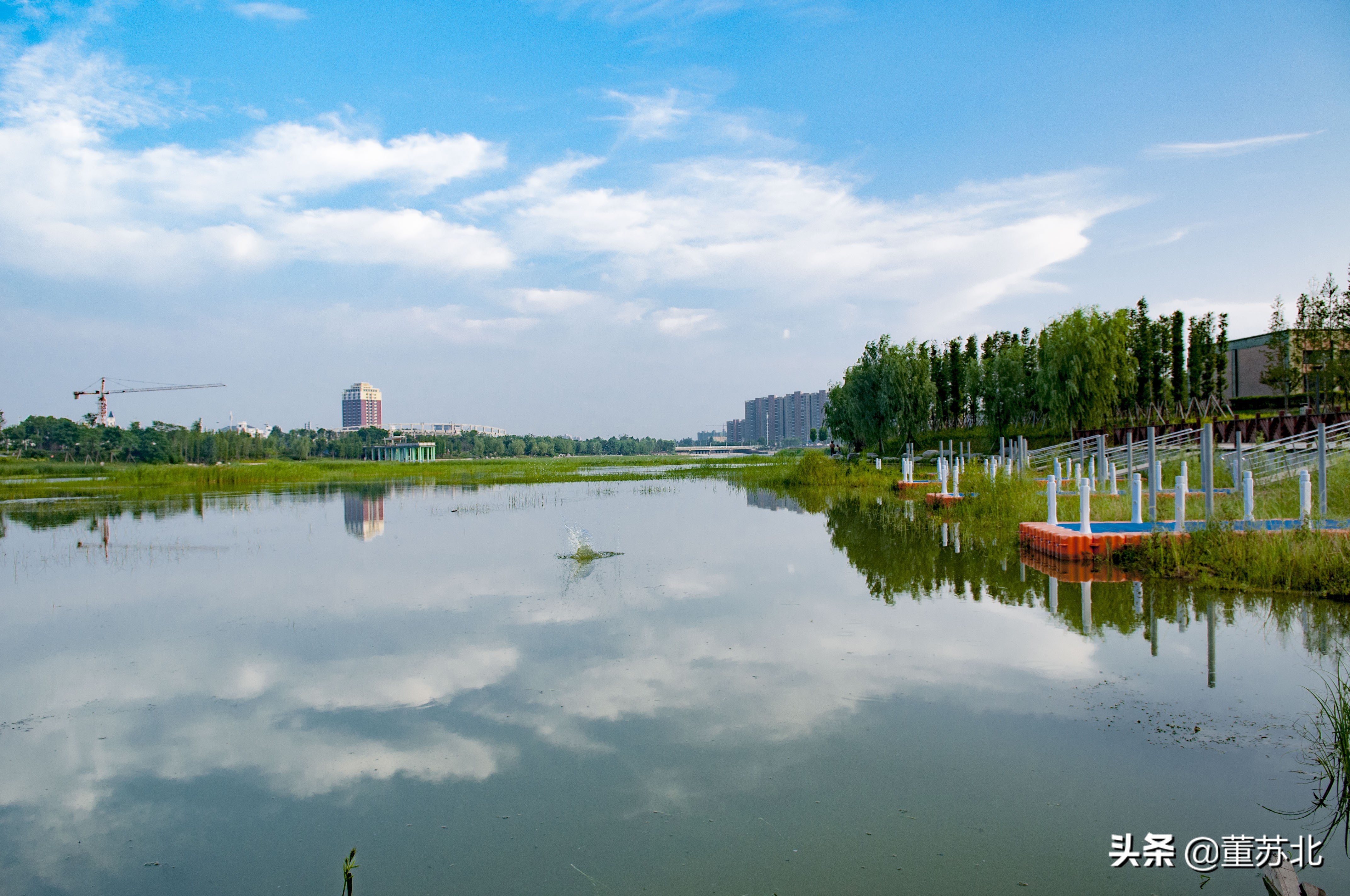 河南新郑全国百强镇,新郑市百强企业