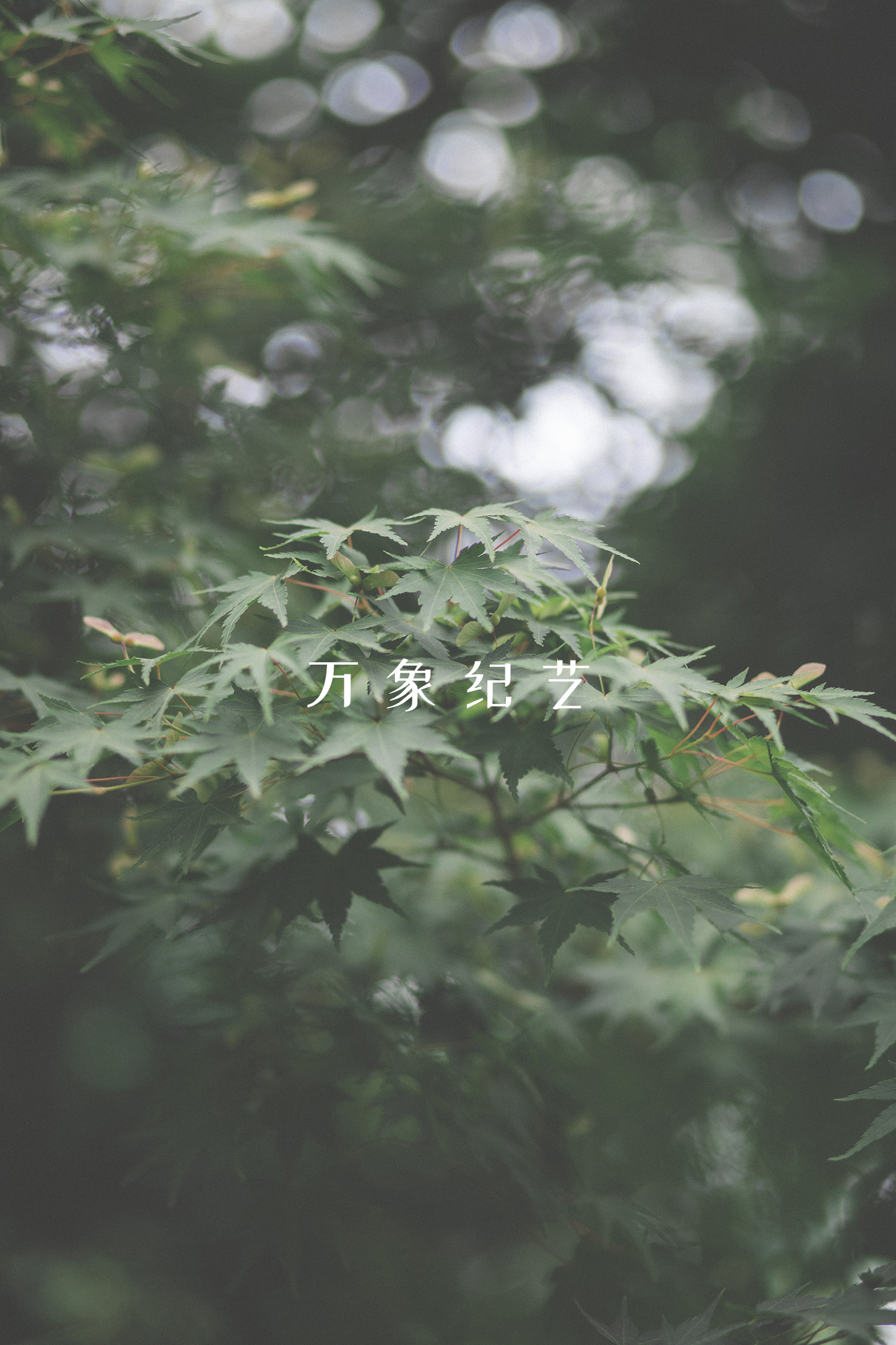 手绘屏保图片手机壁纸,手机壁纸屏保图片可保存至相册