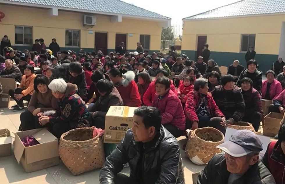 我在农村做代购：自购4万只小鸡送村民被骂“傻瓜”，现年销700万