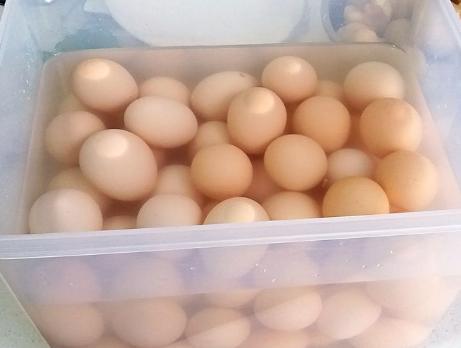 腌咸鸡蛋只放盐,腌咸鸡蛋有点咸了咋办