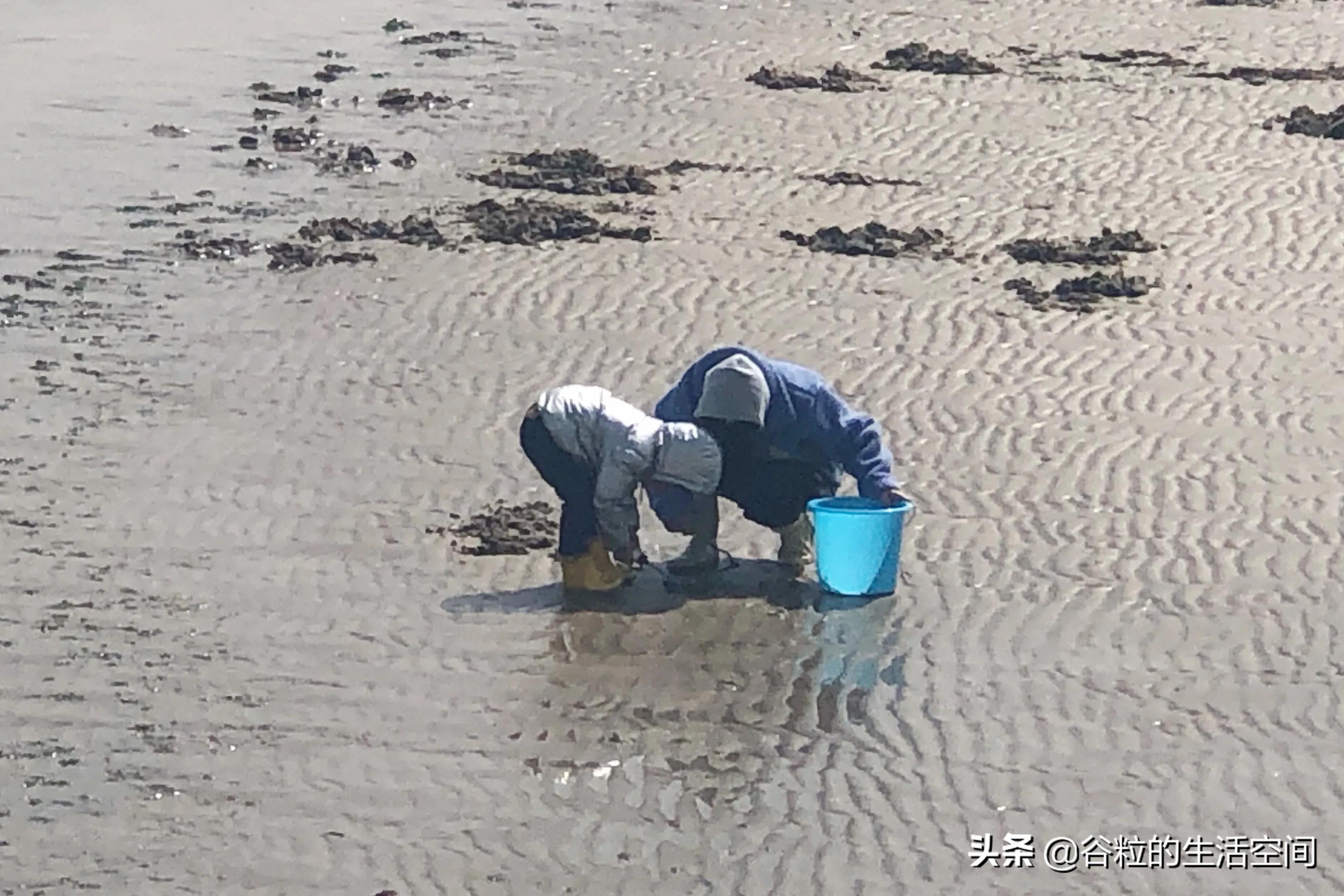 偷偷告诉你一个约会的好地方,告诉你一个亲子游的好地方