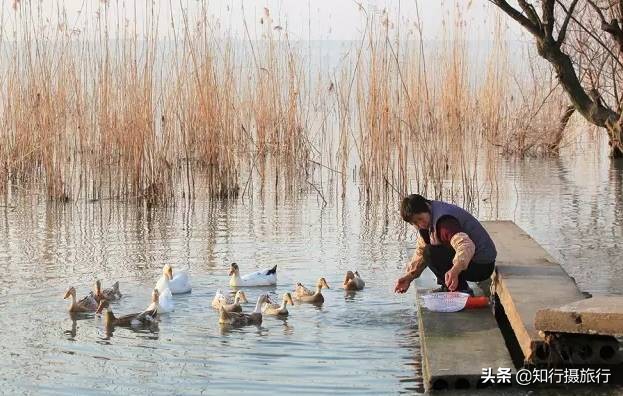 苏州太湖西山岛江浙沪最强攻略,太湖西山岛旅游完整攻略