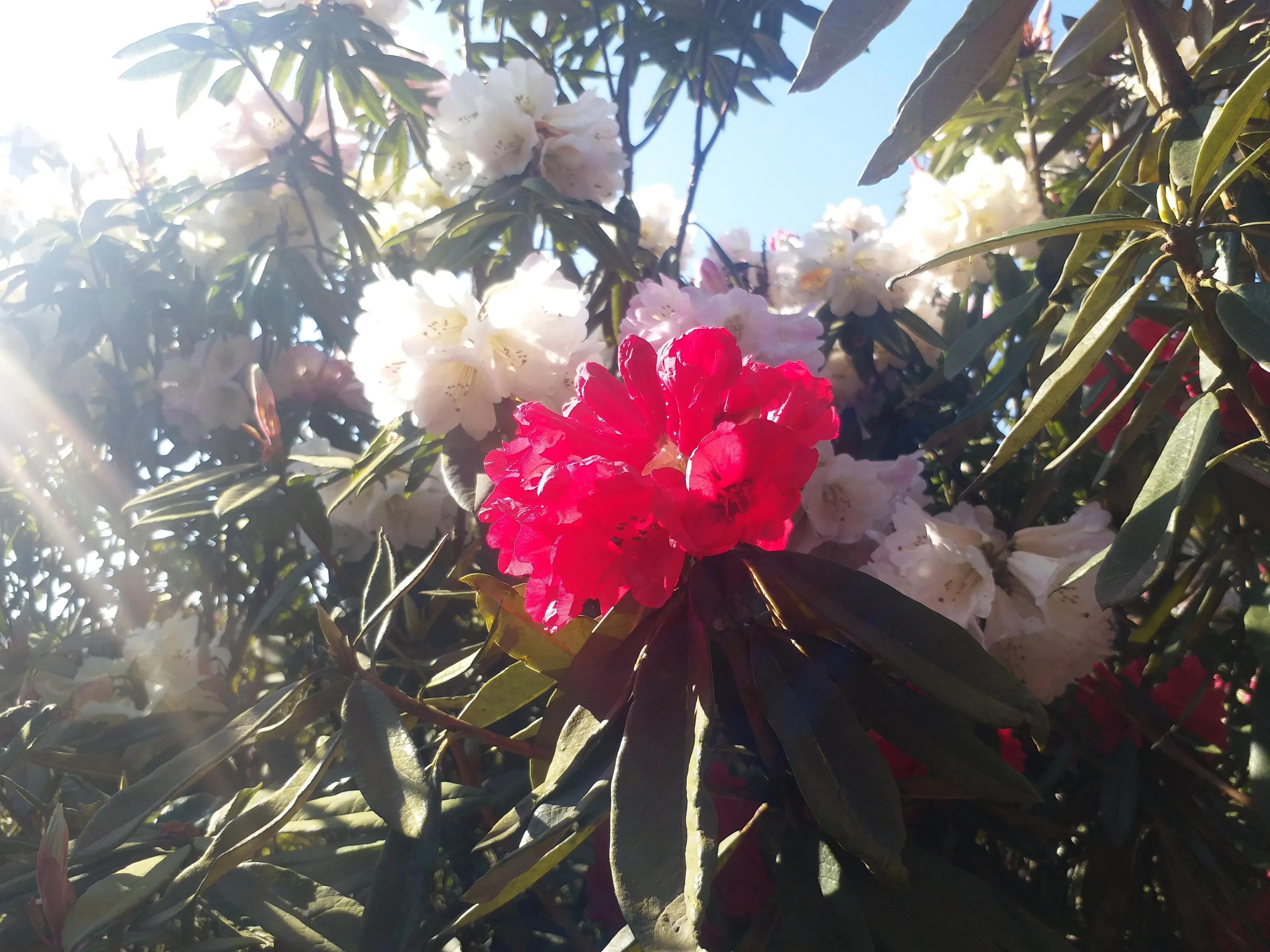 毕节五日游,贵州毕节五日游攻略