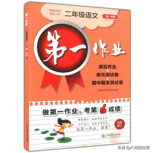 语文刷题必备教辅,超好用的语文教辅亲测推荐