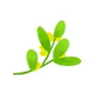 一位客家妈妈用艾草煮水给儿子洗澡，结果万万没想到.