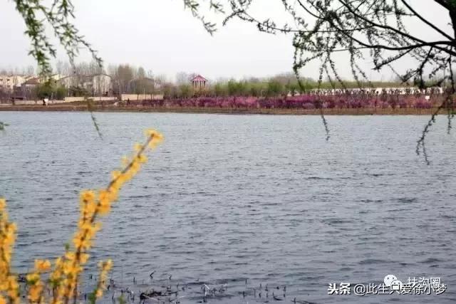 我的家乡，欢迎您来到扶沟！