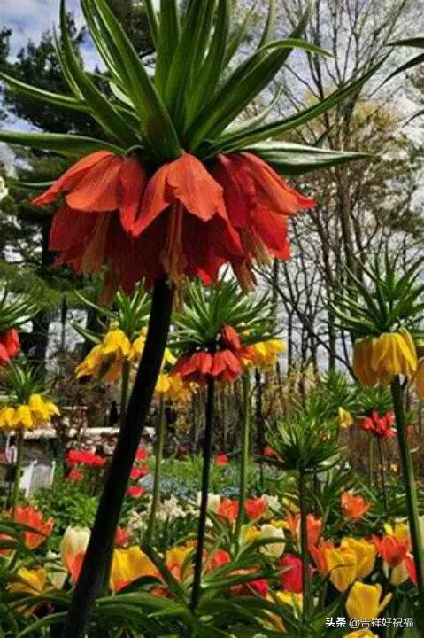 送给群友的美图,最新群相册大全