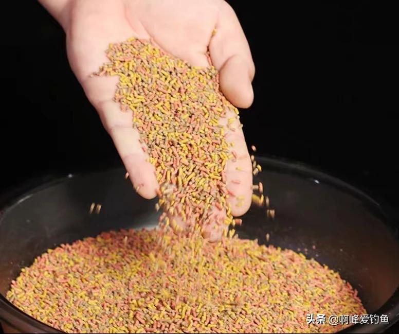 颗粒钓饵钓鱼效果好吗,颗粒窝料钓鱼