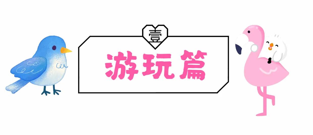 长隆飞鸟乐园拍鸟攻略,广州长隆飞鸟乐园可以摸哪些鸟