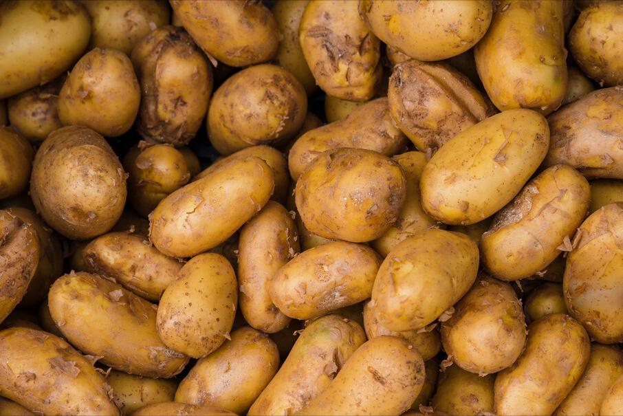全国最好的土豆排名前十名,全国哪里的土豆最好吃