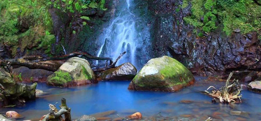 2020最强“广西大全”来了！承包柳州人一整年的旅行