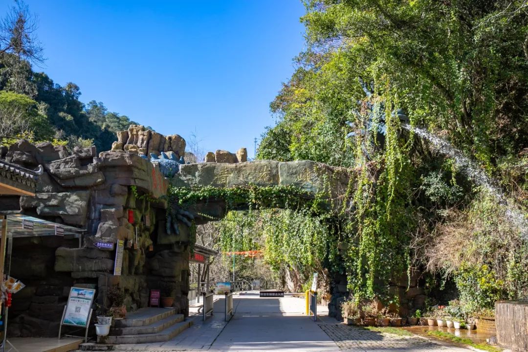 端午去哪玩昆明,暑假自驾游攻略昆明天气