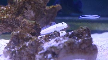 绚丽珊瑚海300+种海底生物，火爆盆友圈的网红打卡圣地就在中山路