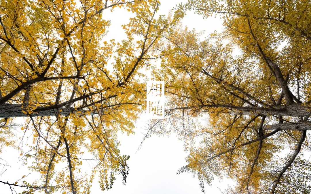 去大连海边玩一趟要多少钱,去海滨城玩有什么攻略