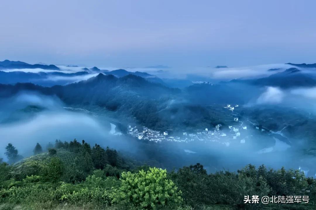 无花无酒过清明全文,无花无酒过清明