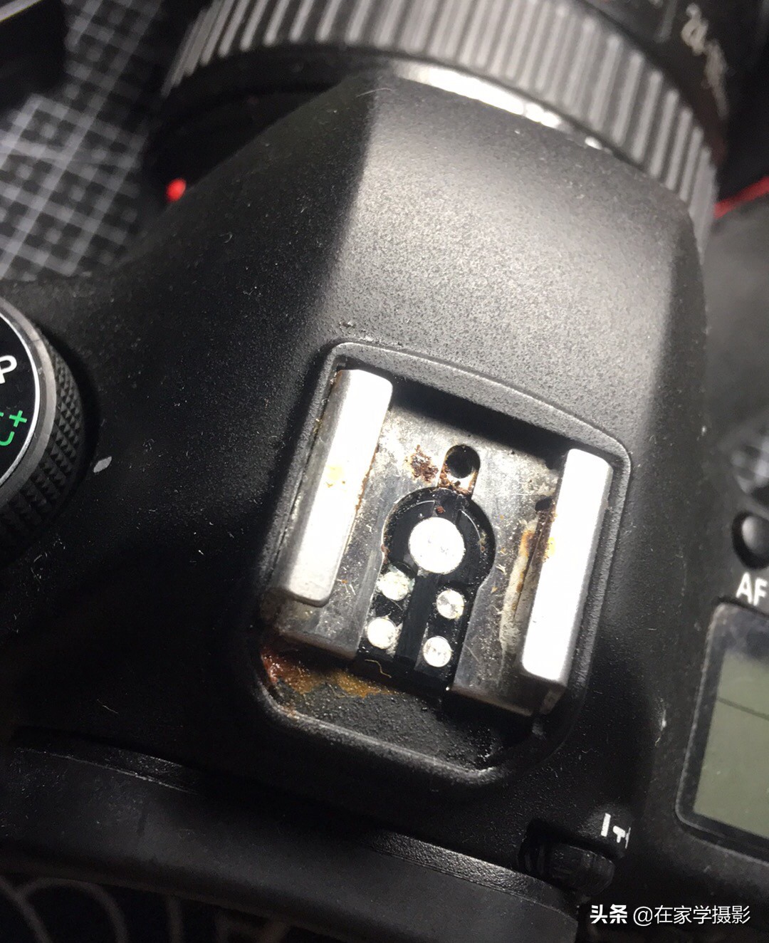 相机放久了会受潮,相机放久了会掉漆吗