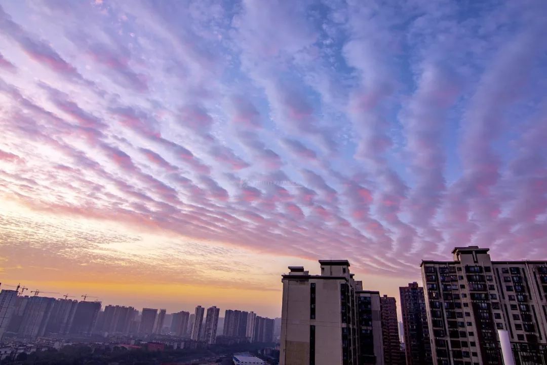 世界看湖南,世界看湖南2017视频