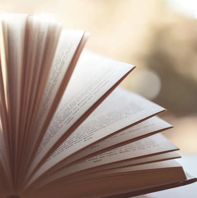 小学语文教研沙龙活动美篇,小学语文教研组研修活动