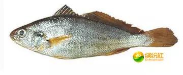 舟山海鲜代加工攻略,最全舟山海鲜攻略