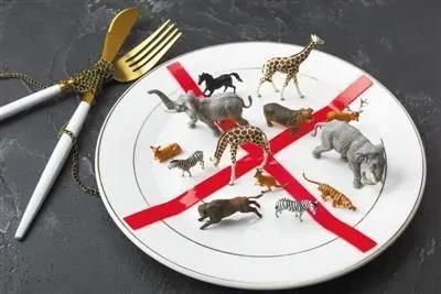 野生动物保护法律知识你知道多少,三分钟带你了解新野生动物保护法