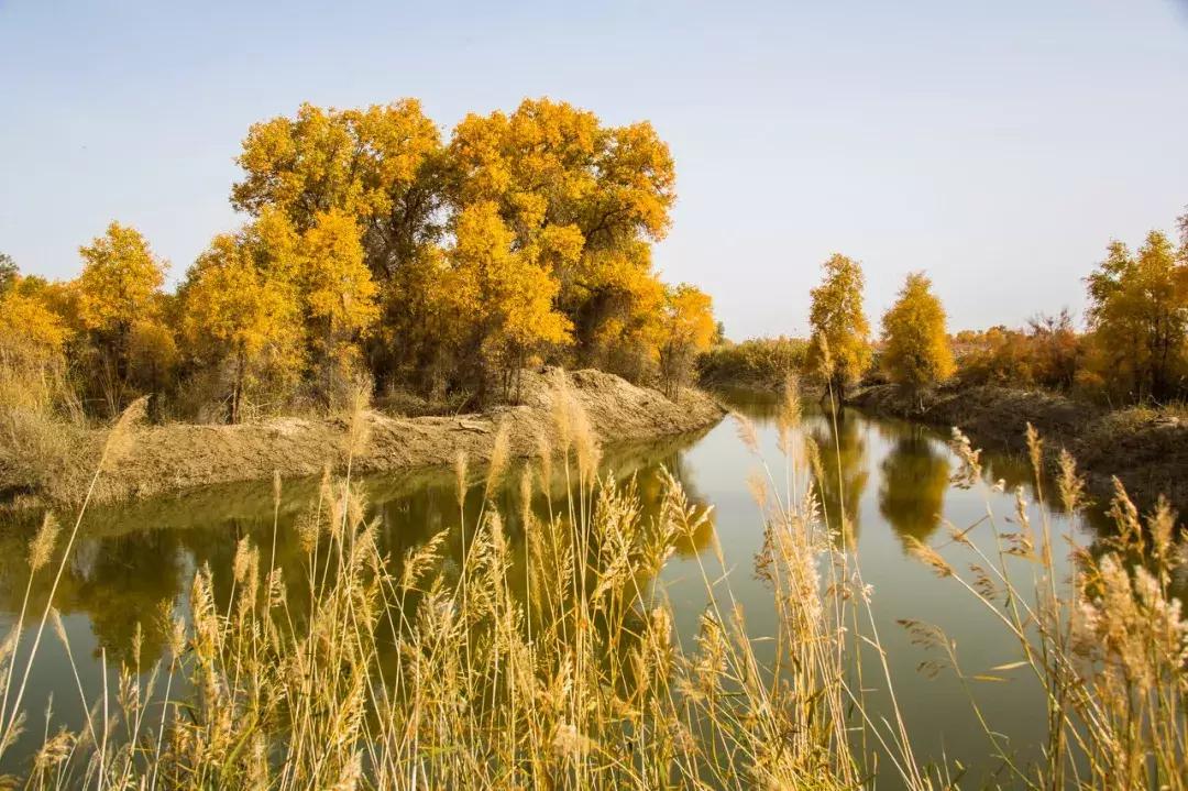 新疆的北疆和南疆哪个更美,北疆新疆之美