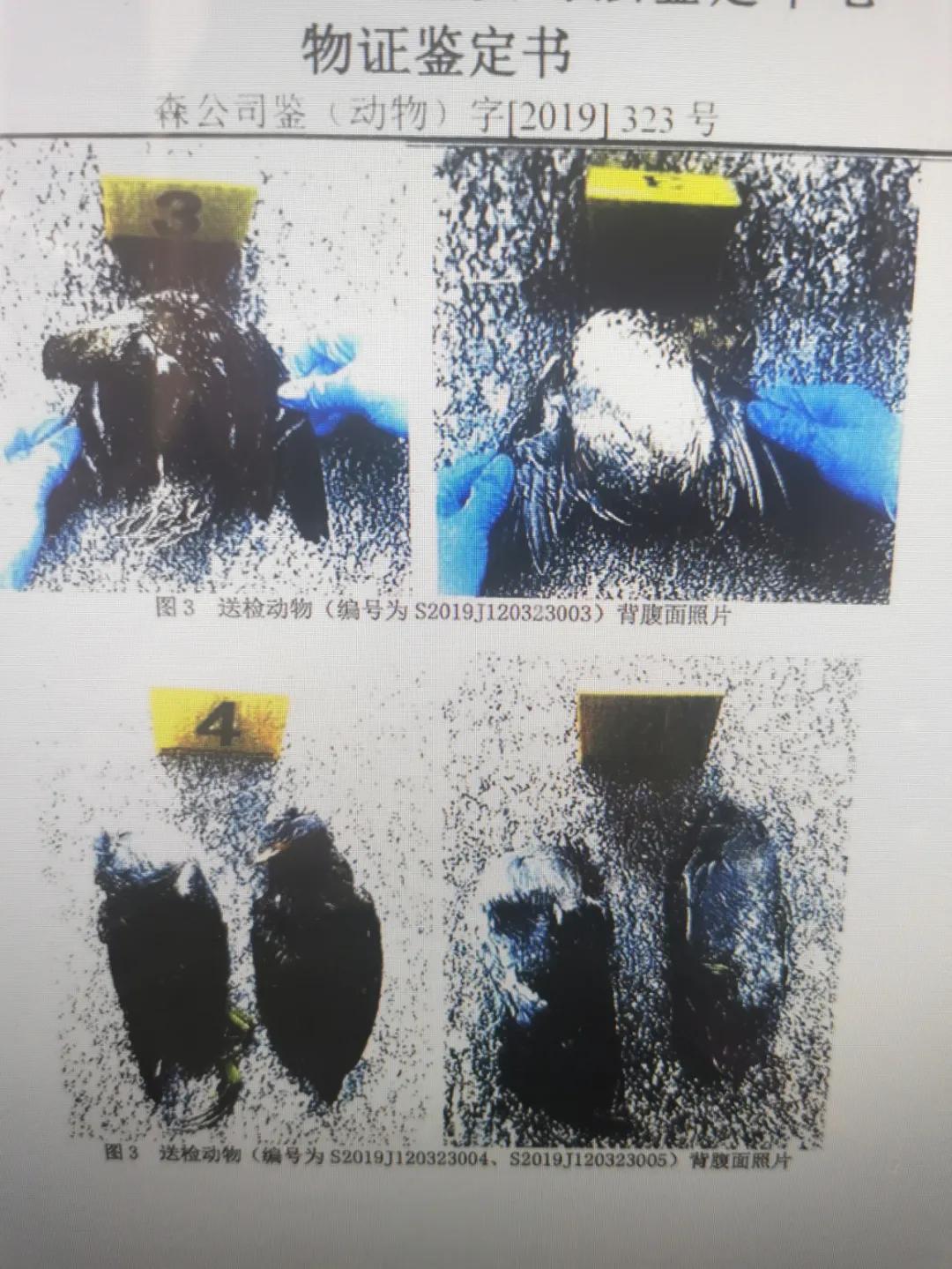 锡法君说“小”案直播讲堂上线！第一期：人民健康法治守护——医食安全的馅饼与陷阱