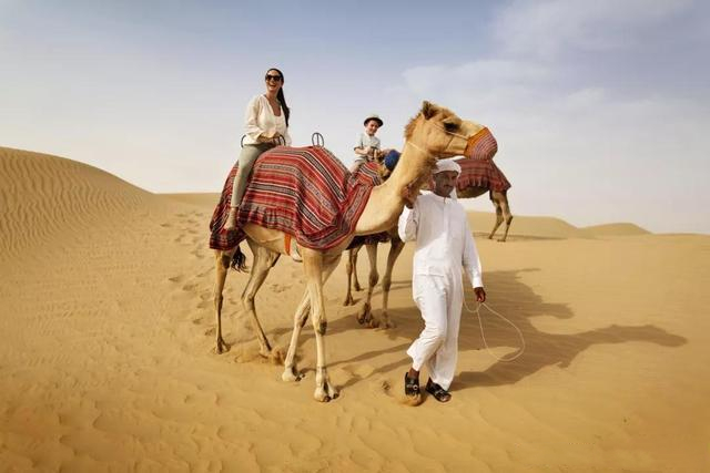 迪拜的十几个不为人知的秘密,去迪拜必须体验的10件事