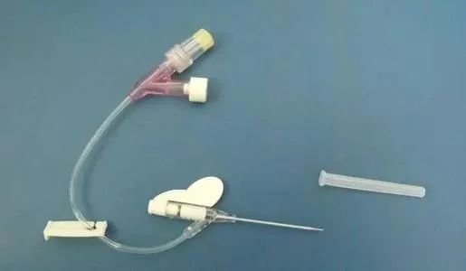 关于留置针的科普,留置针的四大注意事项