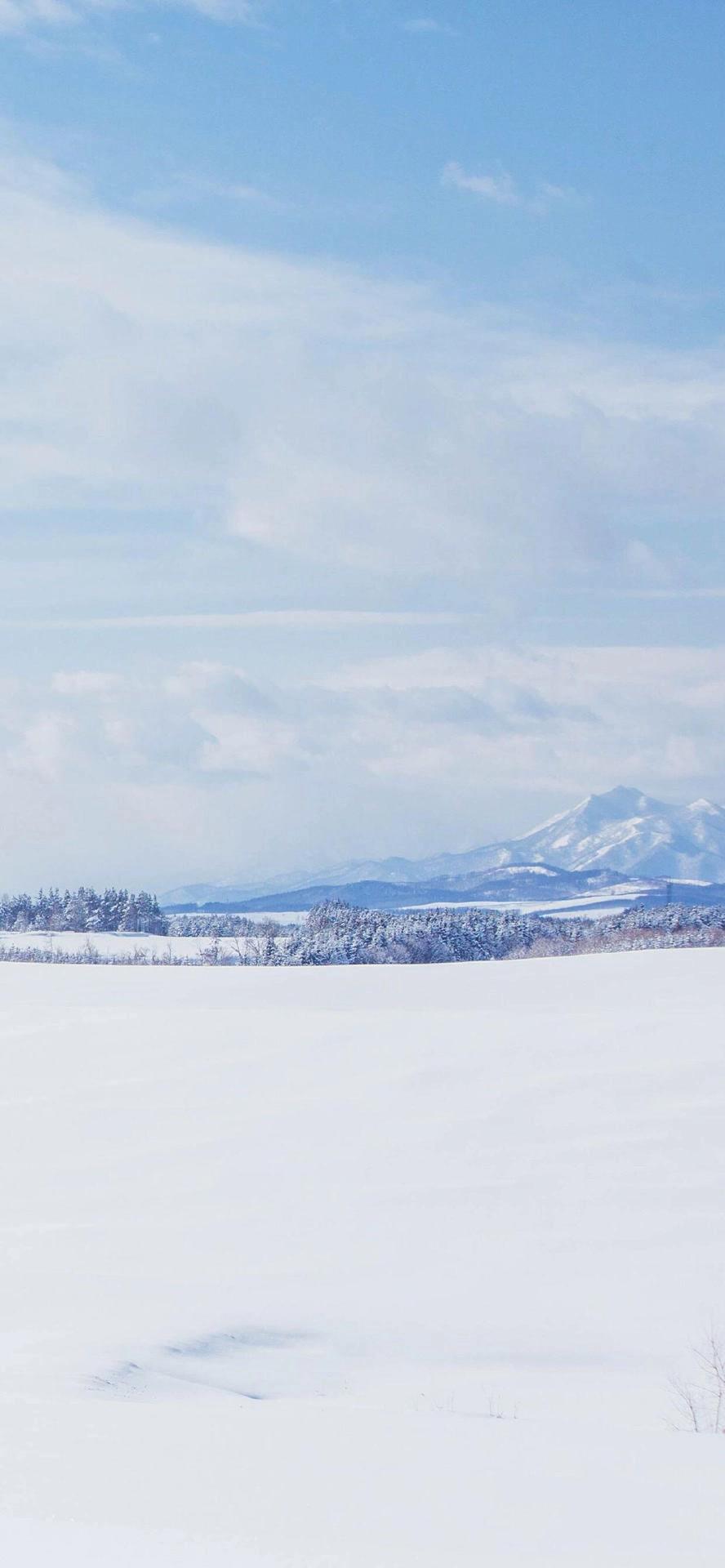 iphone11高清壁纸全屏,iphone11全屏壁纸黑色