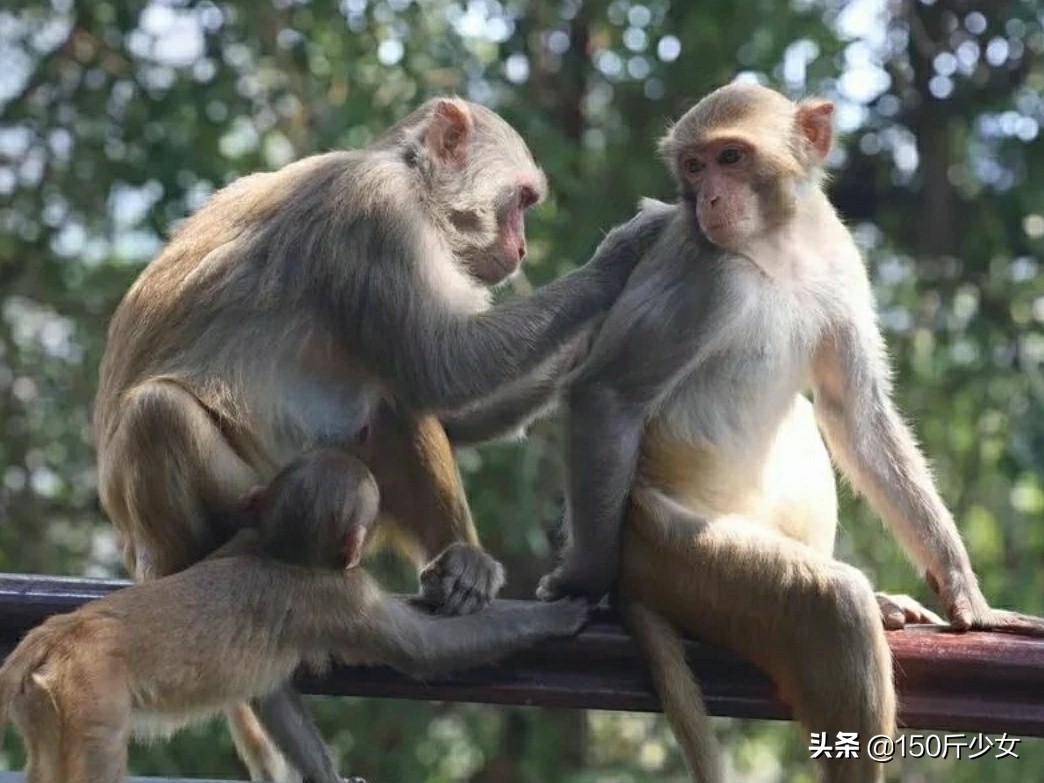 想念三亚的阳光和沙滩海浪,三亚期盼已久的大海