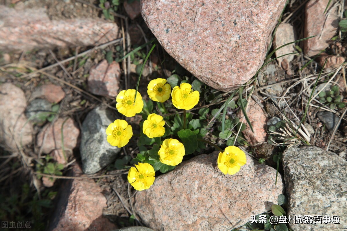 全岛旅游攻略大全,小三门岛旅游攻略大全