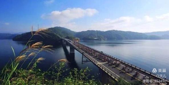 千岛湖的移民都去了哪些地方,千岛湖移民历史记录