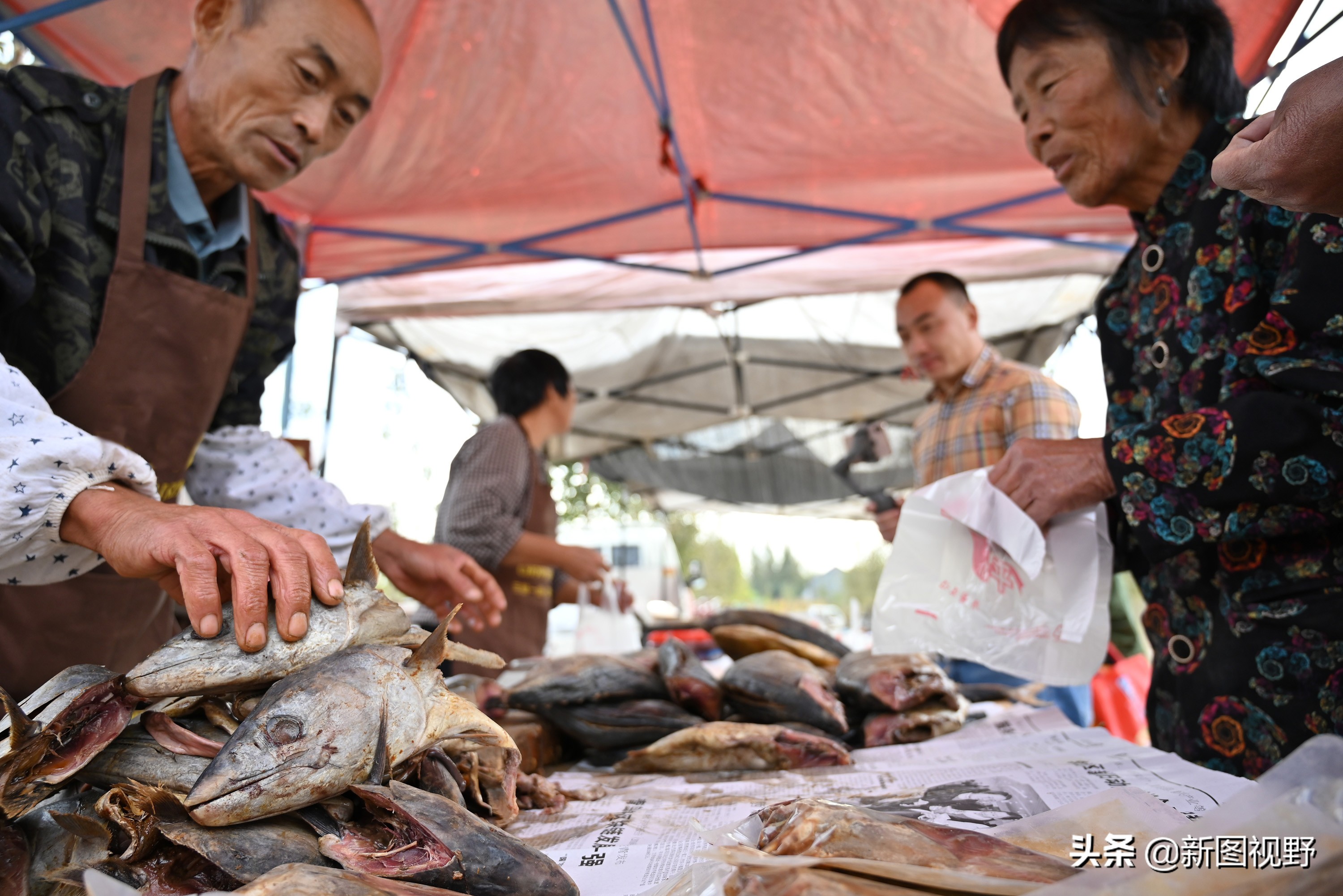 农村卖鱼夫妻,农村夫妇卖鱼视频