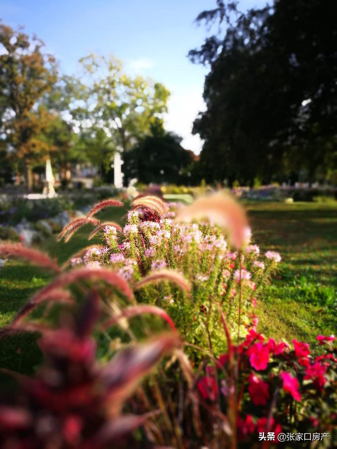 保利中央公园张家口地图,保利中央公园张家口环境