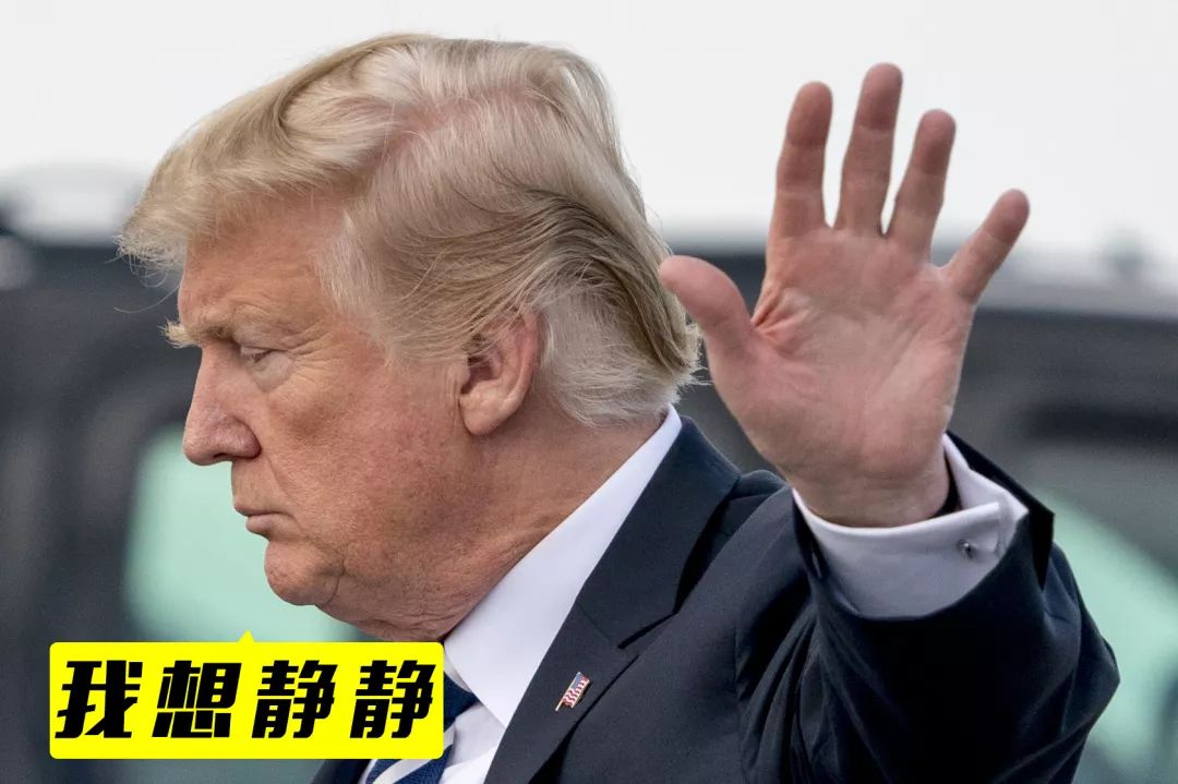 扒经｜揭秘汽车“51区”大众如何“*躏蹂**”自我