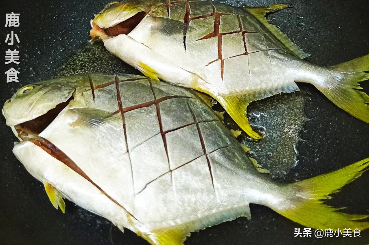 春季养生要吃鱼8种鱼最肥美,春季不可错过的五大时令鱼鲜美味