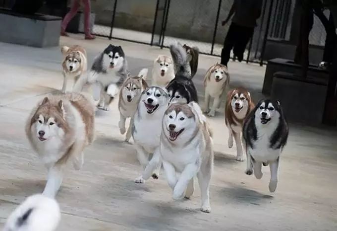 曼谷免税店必买清单,曼谷东西最全的免税店