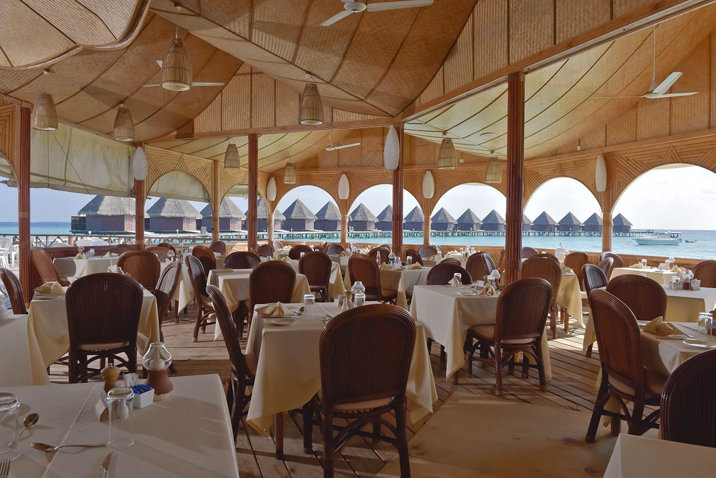 马尔代夫蓝色美人蕉,马尔代夫蓝美人蕉岛