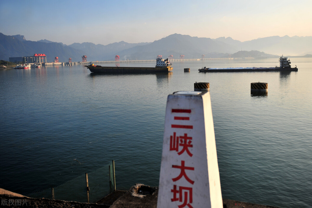 三峡大坝修建后中华鲟怎么产卵,中华鲟能长多大有多少米