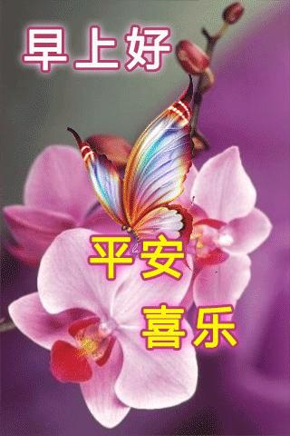 祝福表情包｜穷则独善其身，达则兼济天下