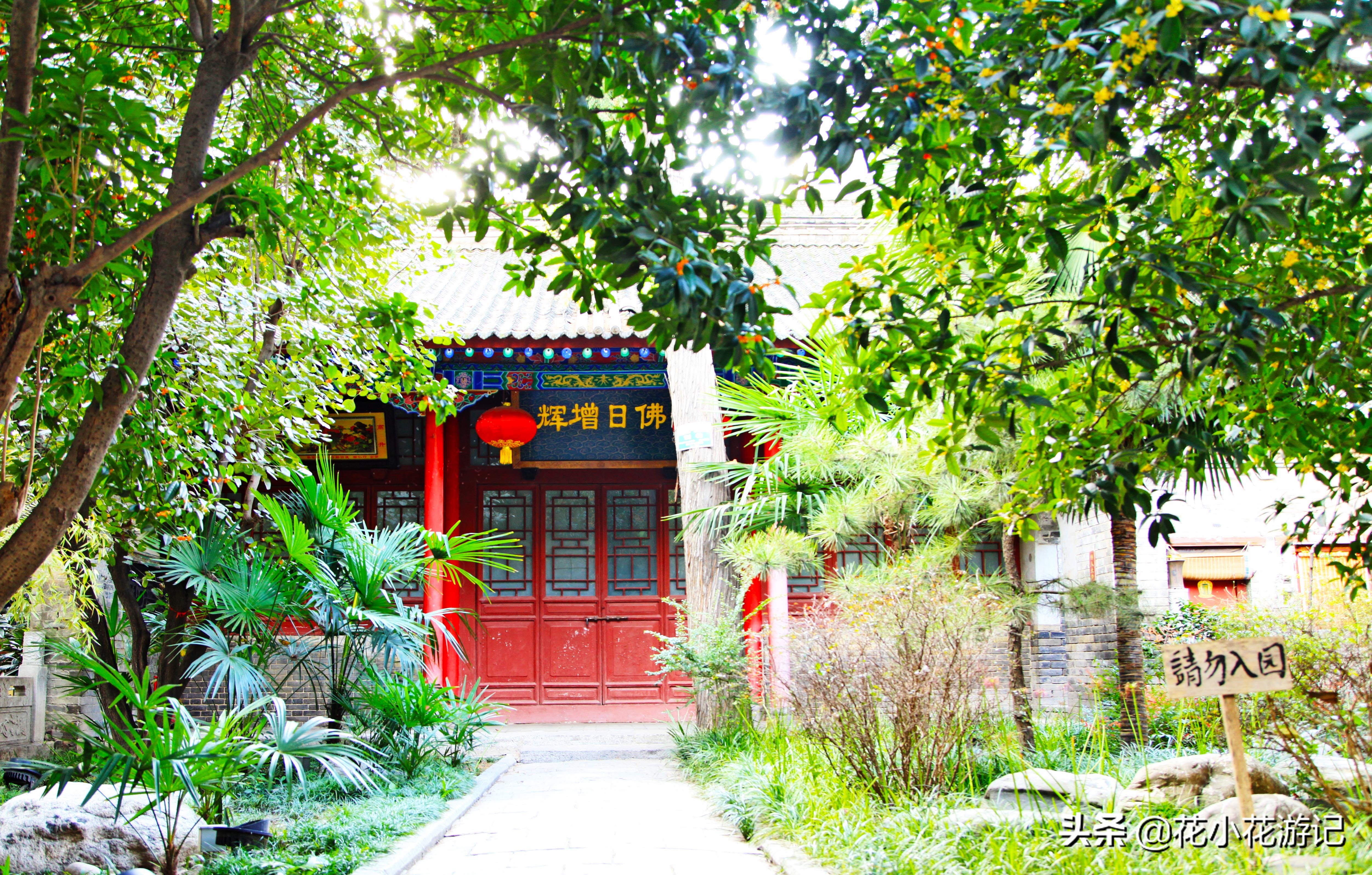 澶у叴鍠勫鐨堜緷娉曚細,澶у叴鍠勫澶ч泟瀹濇绁堢璇电粡