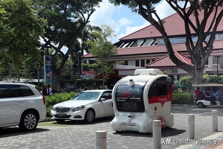 新加坡年轻人的真实现状,新加坡民众的现状