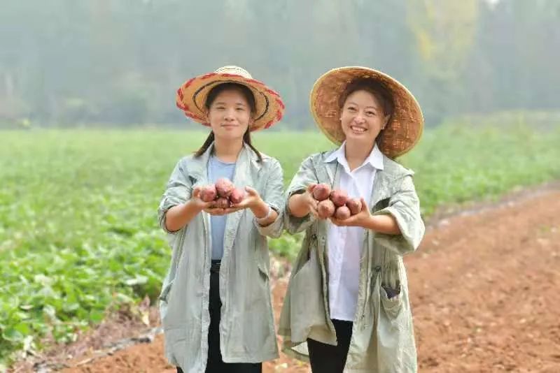 为什么要返乡创业成为新农人,回乡创业新农人好做吗